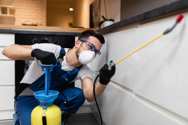 Best Wasp Removal Services  in Medford, MA