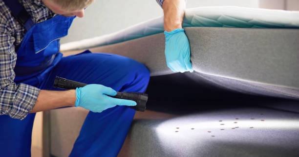 Best Best Pest Control Companies  in Medford, MA